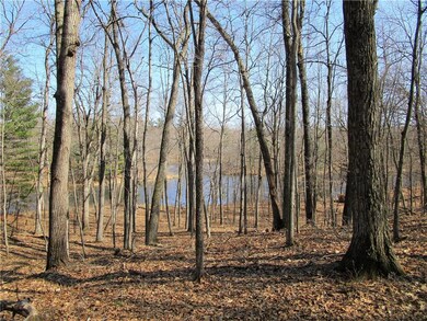 Looking Towards The Knapp Flowage - 5.26 Acre Lot
