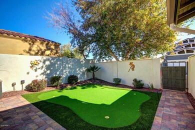 Professional Putting Green