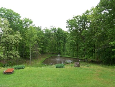 Pond Far View