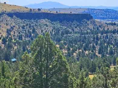 0 Wiley Creek Rd unit 148079631, Dayville, OR 97825 - photo 2