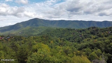 - Round Top Way, Sevierville, TN 37862 - photo 2