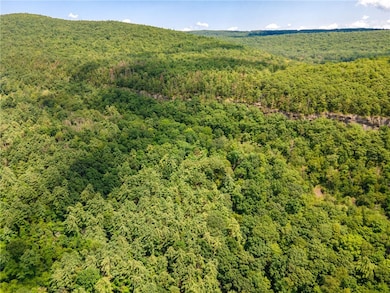 L16 Mount Path, Middleburgh, NY 12122 - photo 7