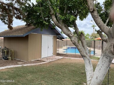 backyard 2