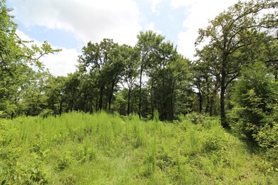 31122 Joseph Rd, Hockley, TX 77447 - photo 7