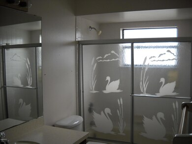 Guest bathroom view