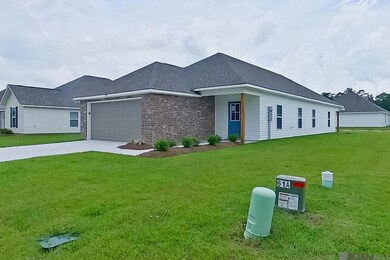 13784 Pinyon Dr, Dennis Mills, LA 70726 - photo 3