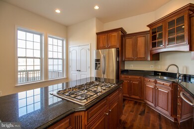 42026 Angel Arch Terrace, Stone Ridge, VA 20105 - photo 7