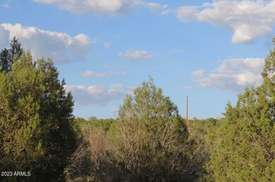 2470 N Luana unit 809, Ash Fork, AZ 86320 - photo 3