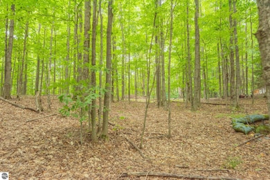 00 Hansel Strause Rd E, Custer Township, MI 49615 - photo 5