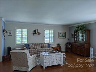 20 Park Ave, Asheville, NC 28803 - photo 4