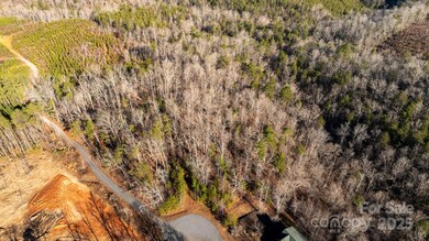 0 Shady Bark Ln unit CAR4210607, Rutherfordton, NC 28139 - photo 5