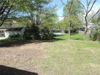 The back yard.