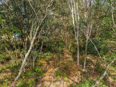 0 SE 477th Ave, Old Town, FL 32680 - photo 2