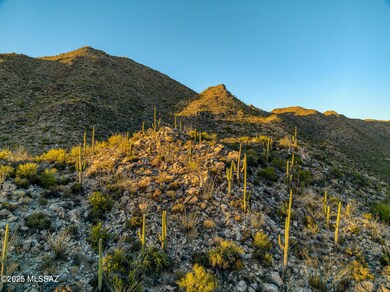 4365 W Cush Canyon Loop unit 82, Marana, AZ 85658 - photo 7