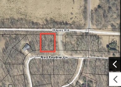 12066 Red Feather Ln, Canadian Lakes, MI 49346 - photo 4