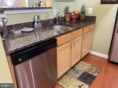22655 Blue Elder Terrace unit 202, Ashburn, VA 20148 - photo 3
