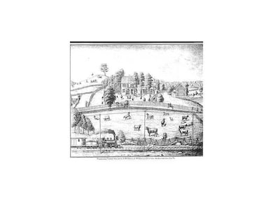 Other. Hand sketched rendering of the McDonald far