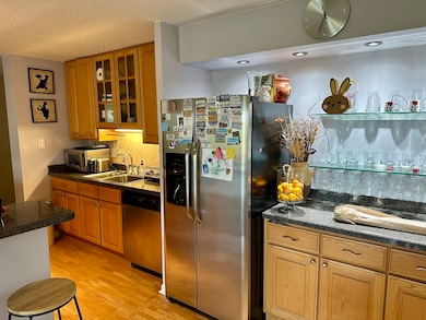 Lake Run Condominium unit 414S, Prospect Heights, IL 60070 - photo 4