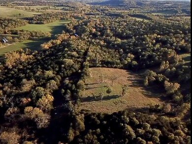 7776 State Highway 39, Aurora, MO 65605 - photo 4