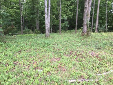 0 Tolliver Rd unit Lot A 216031333, Logan, OH 43138 - photo 2