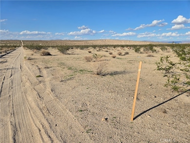 5400 Shoshone Valley Rd, Twentynine Palms, CA 92277 - photo 3