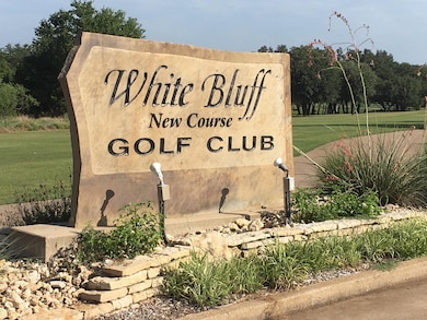 12159 Trailwood Dr, Whitney, TX 76692 - photo 6