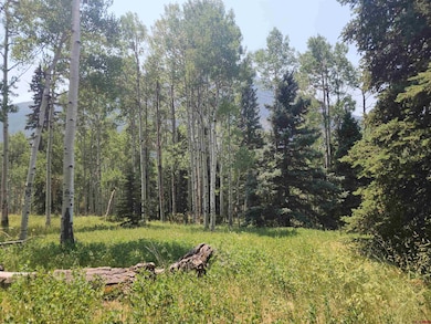 19 Oliver St, Monte Vista, CO 81144 - photo 2