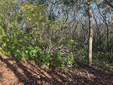 TBD 438th St, Harris, MN 55032 - photo 3