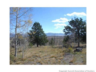 3676 Buffalo Ridge Rd, Como, CO 80432 - photo 4