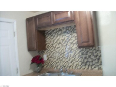 New Kitchen Cabinets with ceramic back splash