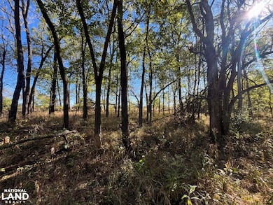 0 Hwy 39, Hepler, KS 66746 - photo 6