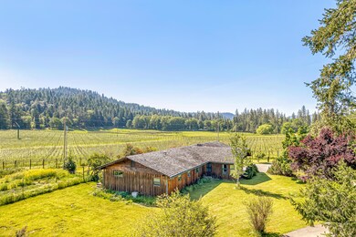 Drone Home and Adjacent Vineyard