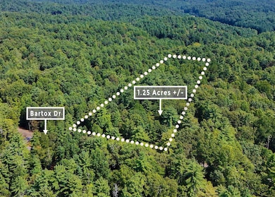 211 Bartox Dr, Ellijay, GA 30540 - photo 6