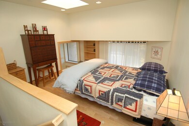 311 S Aspen St unit 6, Aspen, CO 81611 - photo 6