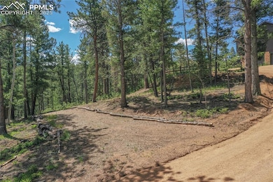 4041 Trout Creek Rd, Woodland Park, CO 80863 - photo 6