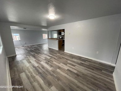 Livingroom and kitchen