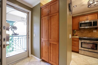 Popular Palm Tree security screen door.  Double ke
