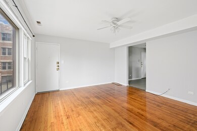 7661 S Coles Ave unit 2A, Chicago, IL 60649 - photo 3