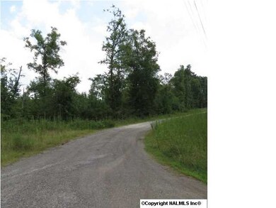 0 Shields Ave, Rainbow City, AL 35906 - photo 3