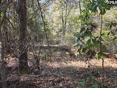 17 Five Bridges Rd, Camden, SC 29020 - photo 4