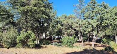 Lot 58 Alpine Heights (1)