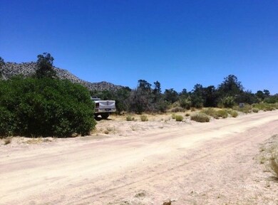 PINYON PINES