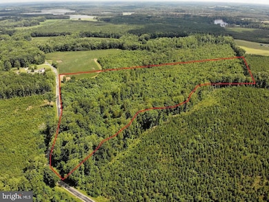 0 Fish Rd unit VAGE2000018, Emporia, VA 23847 - photo 4