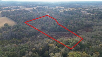 292 Sorrell Rd, Gilmer, TX 75645 - photo 5