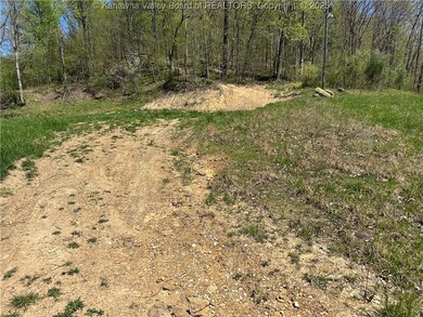 Lot #1 Sugartree Rd, Alkol, WV 25521 - photo 6