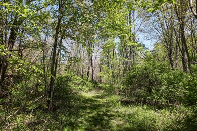 6289 Kruger Rd, Three Oaks, MI 49128 - photo 7