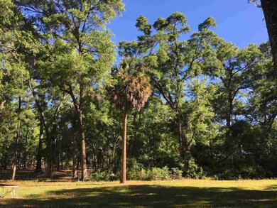 19 Beechwood Dr unit 1, Crawfordville, FL 32327 - photo 3