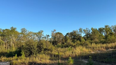 0 George Strickland Rd unit 10626764, Claxton, GA 30417 - photo 2