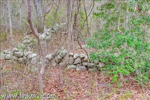 20 Luce Farm Rd, West Tisbury, MA 02575 - photo 2