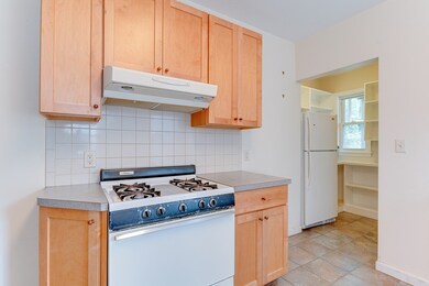 24 Wachusett St unit 1, Jamaica Plain, MA 02130 - photo 4